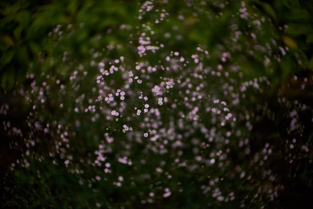 Vol.1 At the end of the day | 第一夜:&nbsp;書くことと読むことの間で