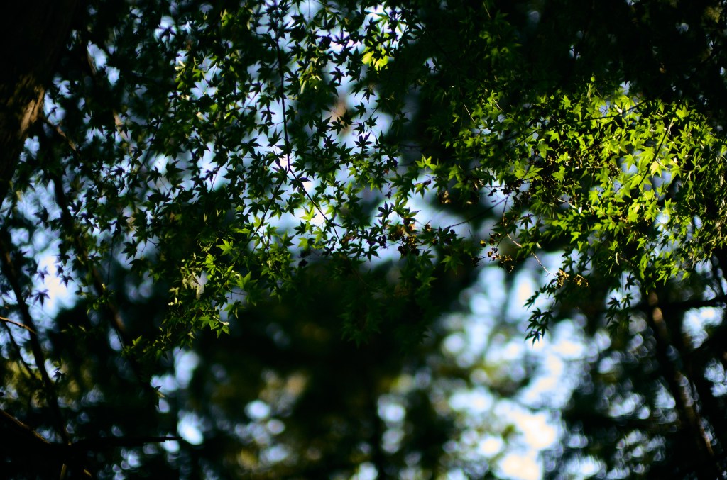 Vol.7 At the end of the day | 第七夜:&nbsp;旅と本