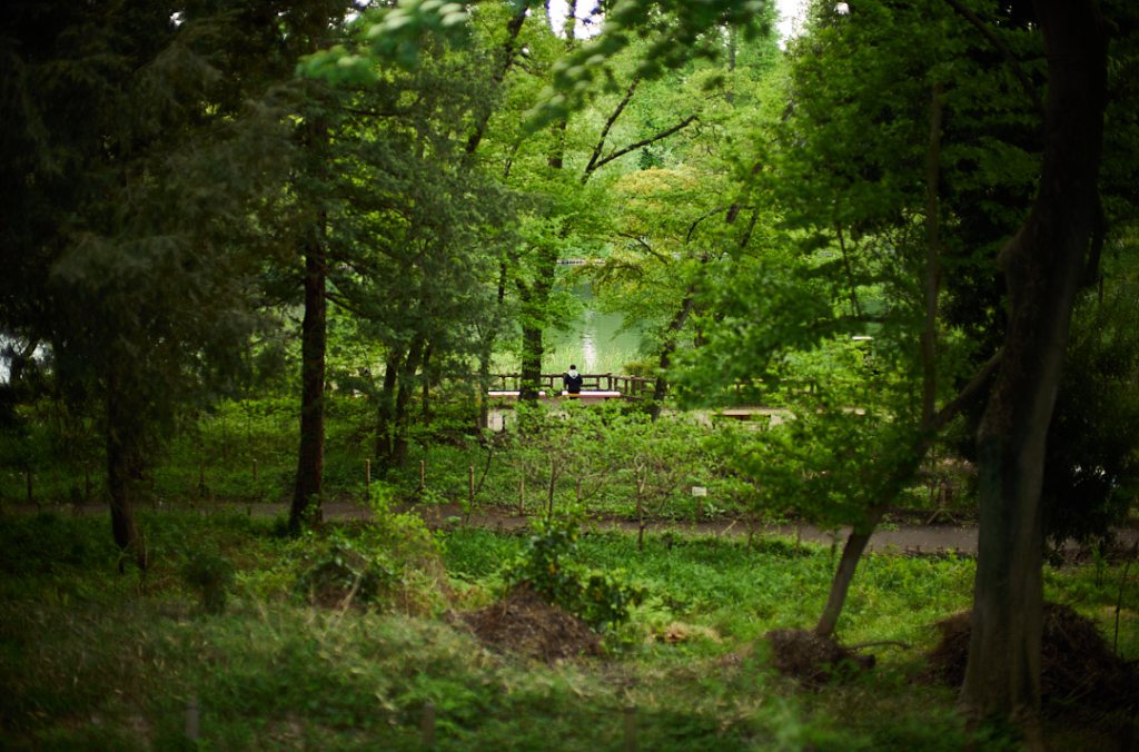 Embracing Solitude Vol.7: Passage and stand still |&nbsp;移ろいと静止