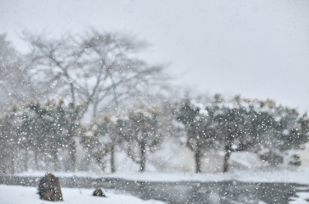 Embracing Solitude Vol.1: In the stillness |&nbsp;静けさの中で