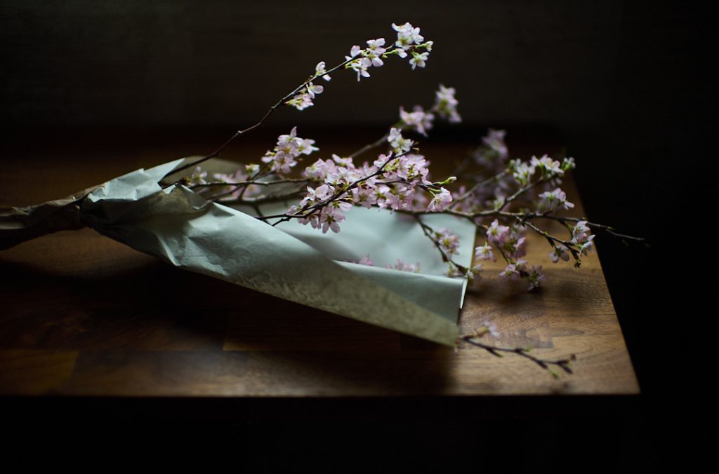 Embracing solitude Vol.4: Table flowers |&nbsp;食卓の花