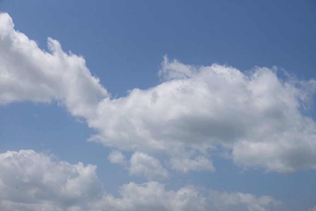 Embracing Solitde Vol.5: The range of imagination |&nbsp;想像力の射程